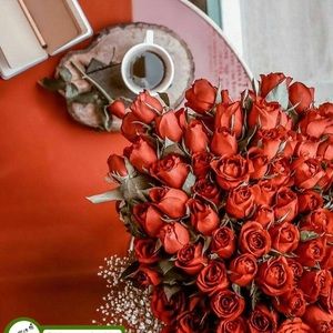 Meet your Posher, Samaneh